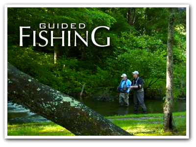 Fishing Blue Ridge