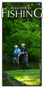 Fishing Blue Ridge Mountain Rivers