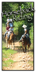Blue Ridge GA Horseback Riding