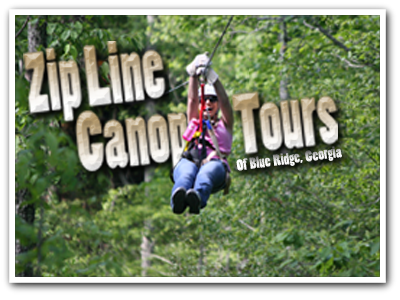 Zipline Canopy Tours