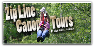 Zipline Canopy Tours