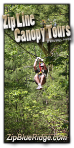 Zipline Canopy Tours